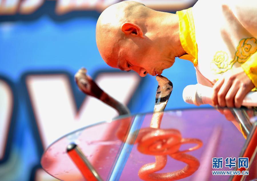 （晚報）（3）與蛇共舞