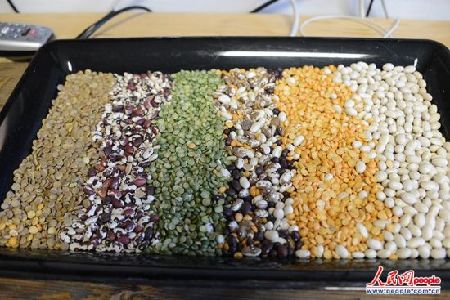 　　這種名為“超越雞蛋”的安全食材主要由從豆類植物中提取的蛋白質(zhì)構(gòu)成。