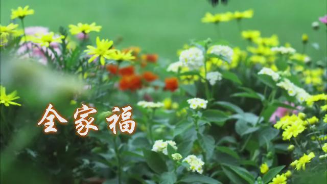 17.《全家?！凡菝苯恪誊?></a><span><a href=