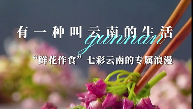 有一種叫云南的生活丨鮮花作食——七彩云南的專(zhuān)屬浪漫