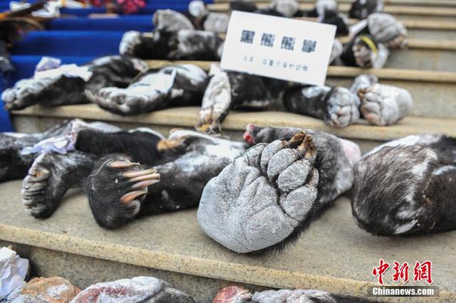 云南破獲特大走私販賣野生動(dòng)物制品案