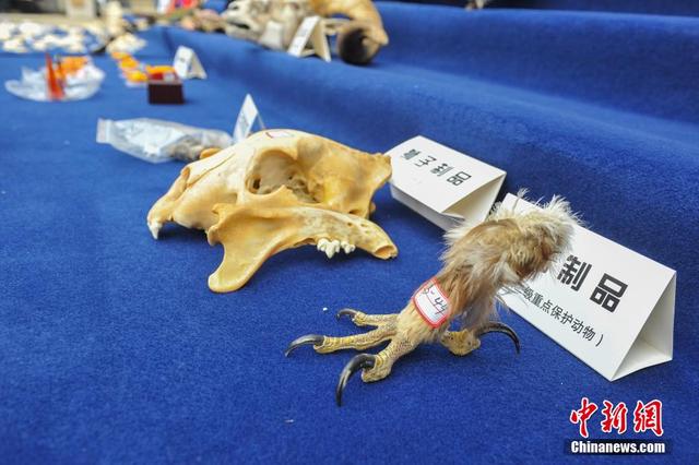 云南破獲特大走私販賣野生動(dòng)物制品案