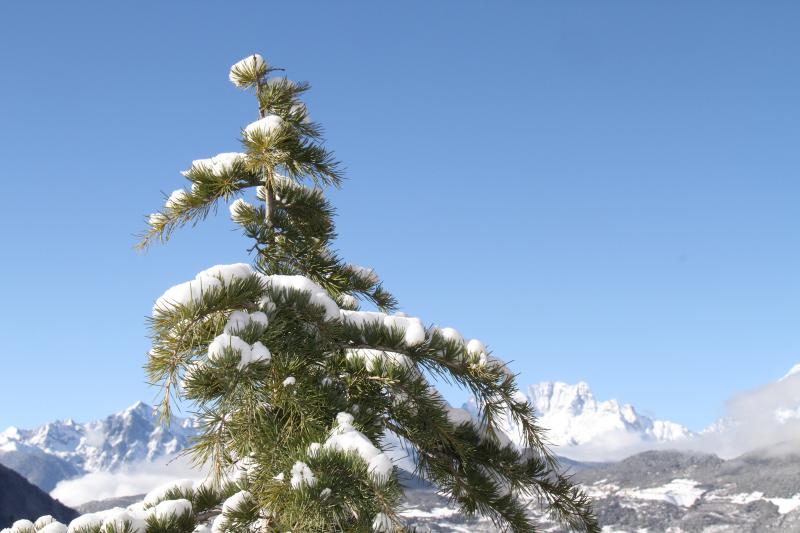 雪后的德欽，隨手一拍就是風景