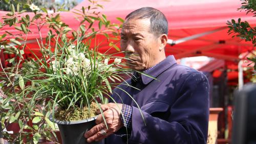 維西蘭市走俏迎來(lái)發(fā)展新契機(jī)