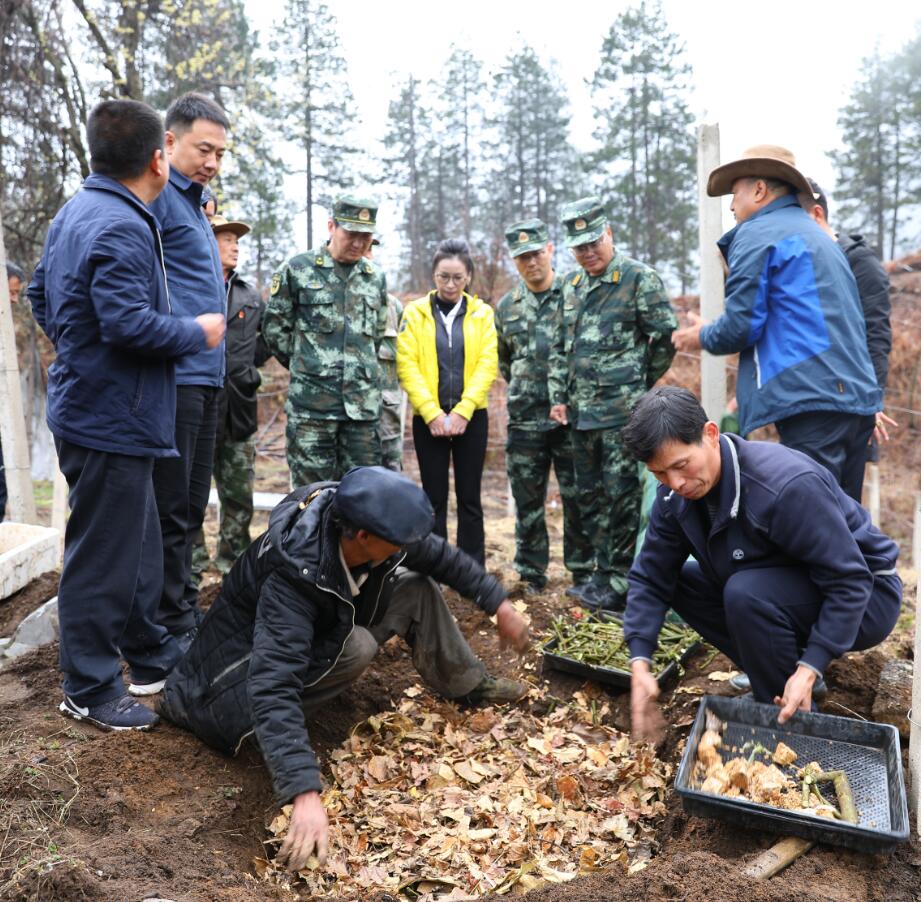 武警上海總隊、云南總隊在維西開展幫扶調(diào)研