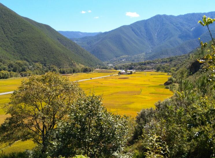 鋪開(kāi)鄉(xiāng)村振興美麗畫(huà)卷