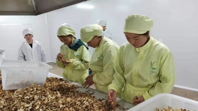 蘭草公司中藥材飲片廠進入試生產階段