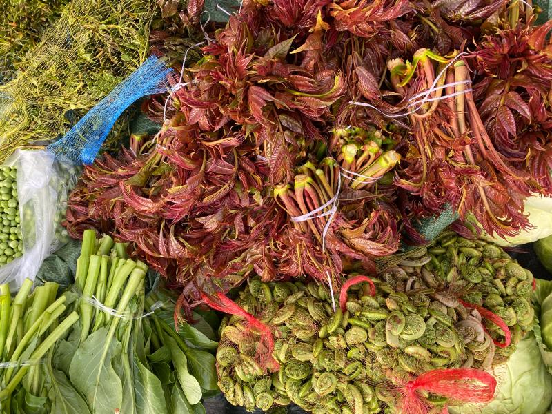 吃貨們有福了，?維西山茅野菜扎堆上市