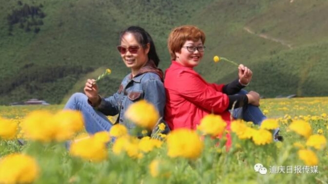 【程志開(kāi)的鏡花緣】今天帶你到尼史草原看耀眼的夏花