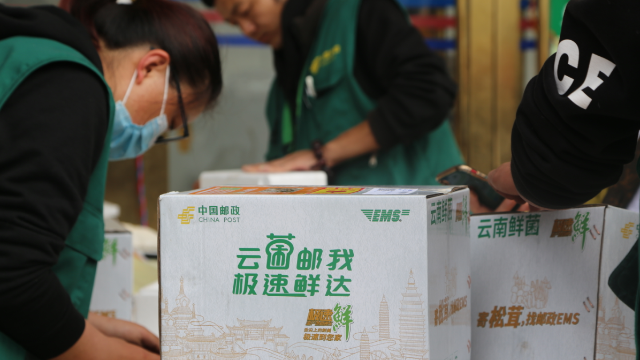 迪慶郵政“黨建+”活動(dòng)助力 “松茸季”寄遞