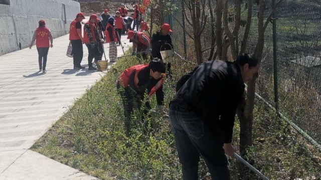 康普鄉(xiāng)開展義務植樹活動