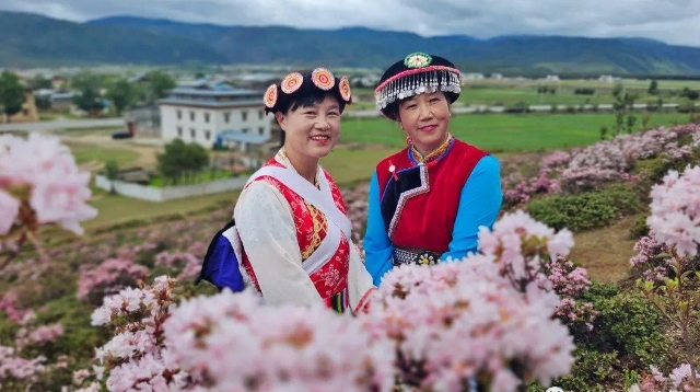 香格里拉，盛夏的正確打開方式竟然是這樣的……