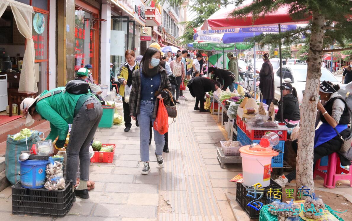 香格里拉時蔬和菌類搶鮮上市，備受市民青睞