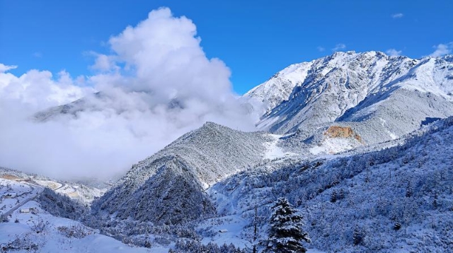 白馬雪山下雪了 畫(huà)風(fēng)雖冷畫(huà)面卻美翻了！