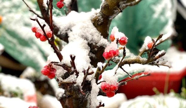 2022年迪慶第一場(chǎng)雪