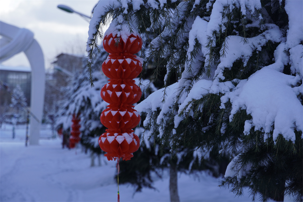 【網(wǎng)絡(luò)中國(guó)節(jié)?春節(jié)】瑞雪兆豐年！迪慶下雪了！