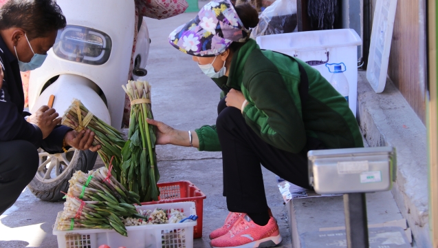 @吃貨們！香格里拉野菜上市了！快來(lái)嘗鮮