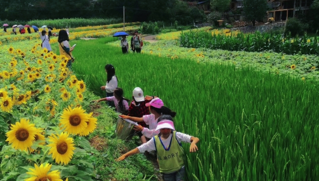 迪慶人民“就地過(guò)節(jié)”在家門(mén)口擁抱“詩(shī)和遠(yuǎn)方”