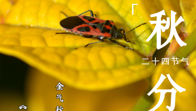 秋分至，莫負(fù)好時(shí)光