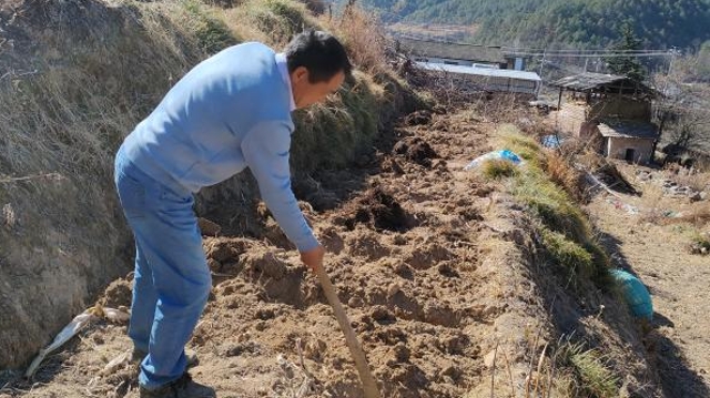 萬象“耕”新不負春