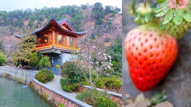看美景，吃美食五家仁等你來