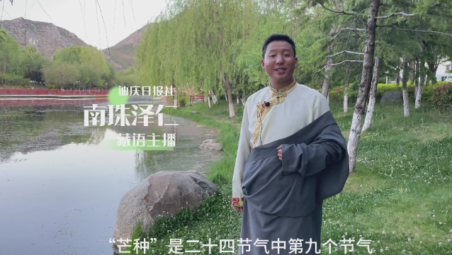 二十四節(jié)氣 | 迪慶日?qǐng)?bào)社藏語(yǔ)主播說(shuō)節(jié)氣：芒種