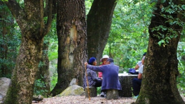熱熱熱！來(lái)金江小龍?zhí)哆^(guò)“18°C”的夏天吧！