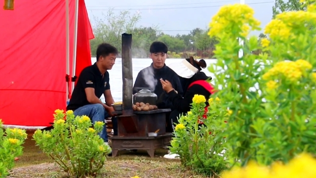 雨中狼毒花迎客來(lái)