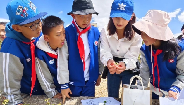 香格里拉市建塘小學(xué)教育集團(tuán)開展“親近大自然、探訪植物園”主題研學(xué)活動(dòng)