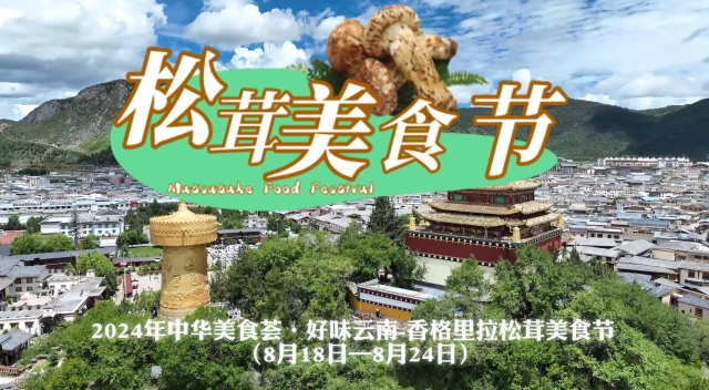 “中華美食薈·好味云南——香格里拉松茸美食節(jié)”等你來(lái)嘗鮮！