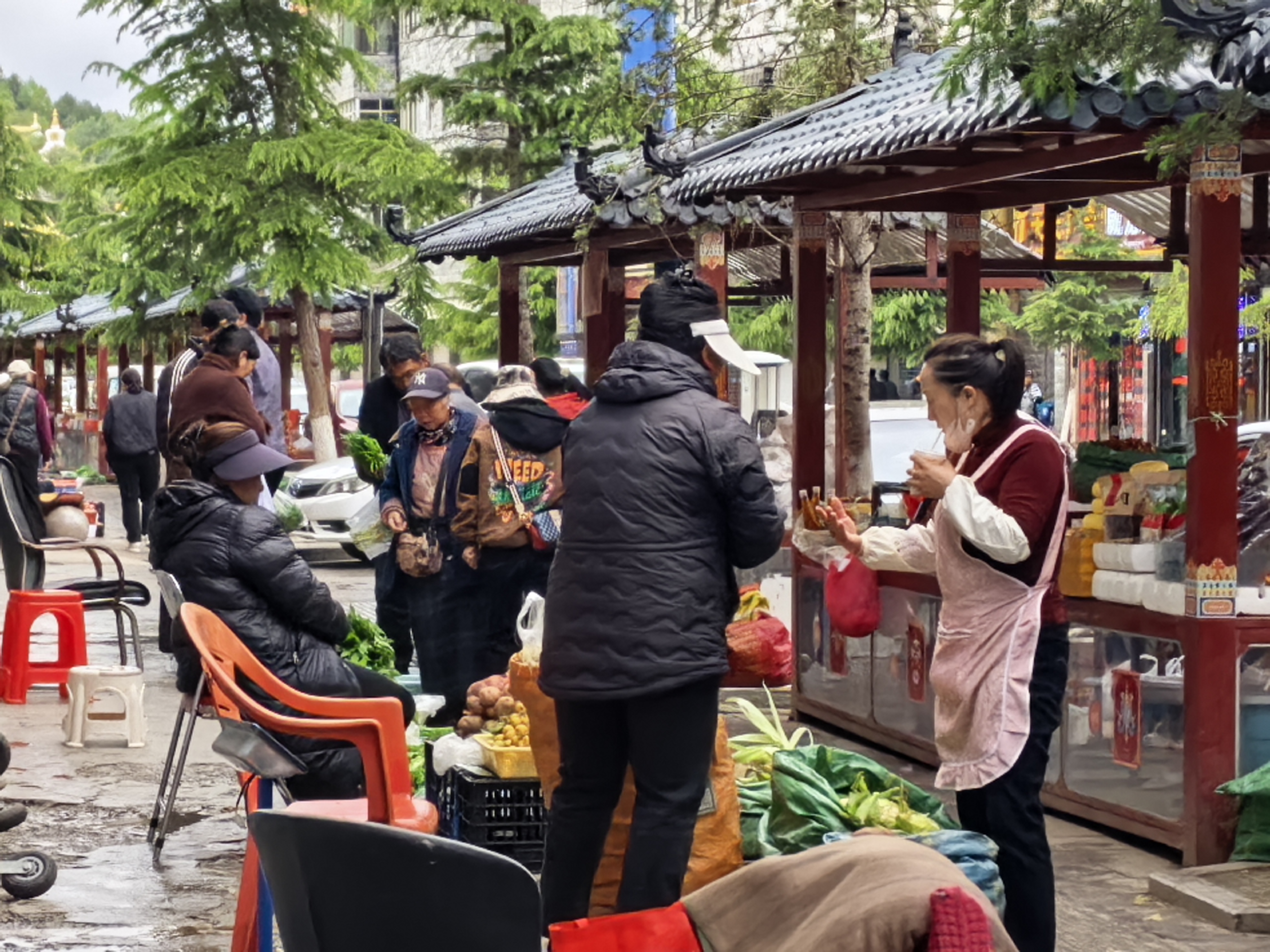 香格里拉山野珍饈搶“鮮”上市！