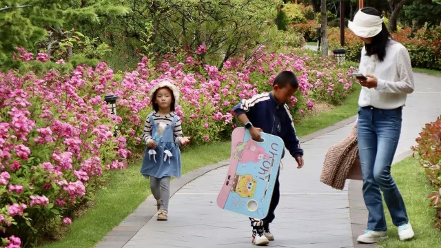 仲夏香巴拉公園繁花織錦 市民游客共享香格里拉愜意時光