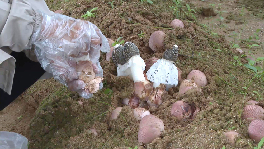 03.jpg