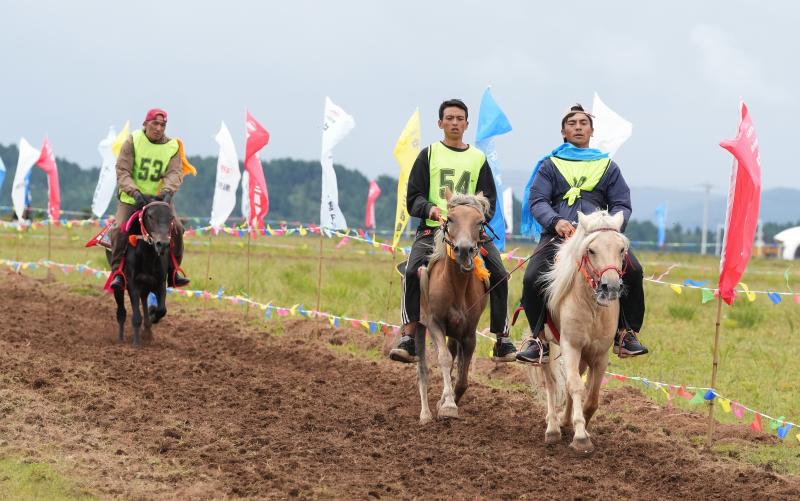小中甸傳統(tǒng)賽馬競逐 民俗文旅助力鄉(xiāng)村振興