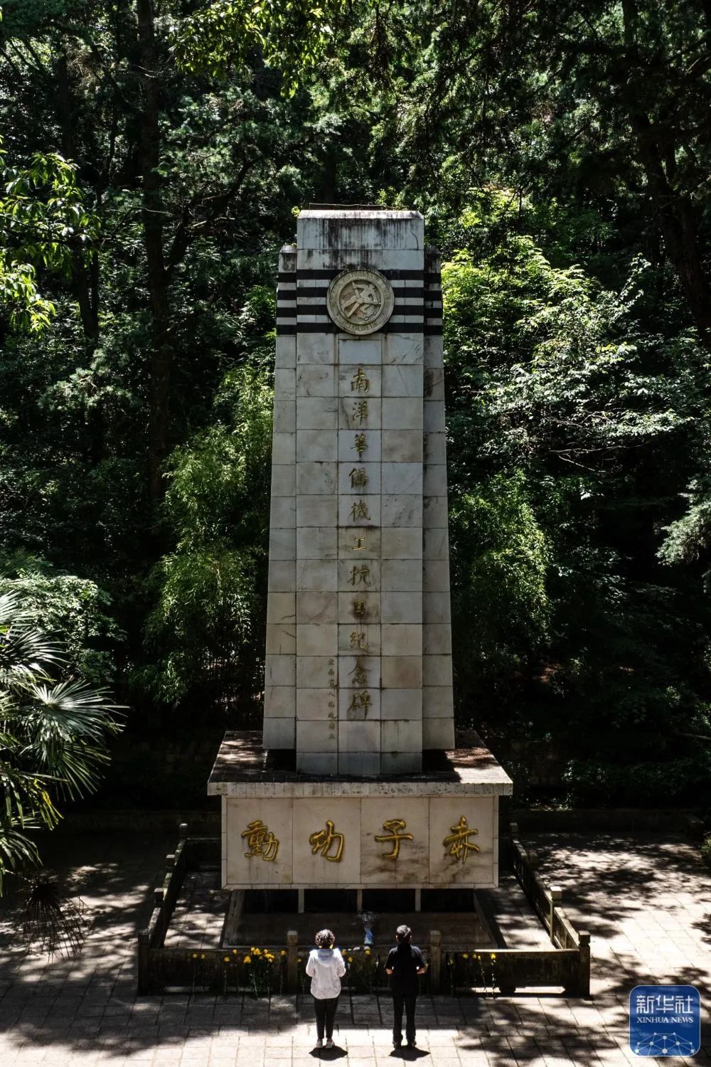 圖片