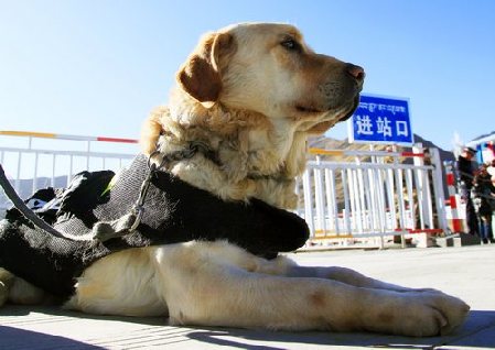 客流較少時(shí)科比總是這樣休息