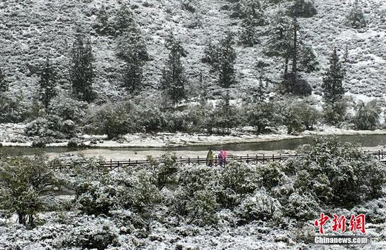 9月20日，受冷空氣影響，四川甘孜州稻城亞丁景區(qū)雪花飄舞，大霧彌漫，山峰披上白紗，銀裝素裹。正在景區(qū)內(nèi)游玩的海內(nèi)外游客紛紛用手機(jī)記錄雪景，并拍照留念。鐘欣 攝