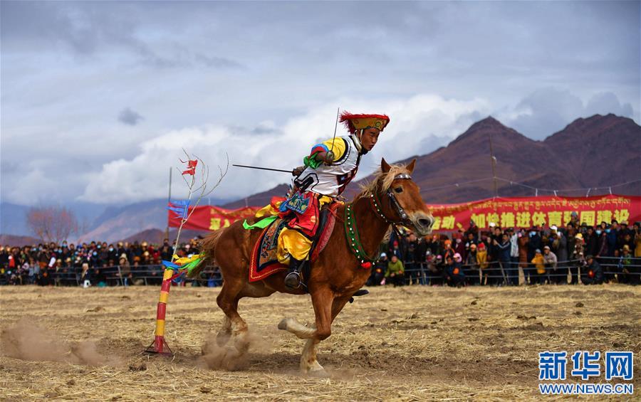 （體育）（7）鄉(xiāng)村馬術表演 把歡樂帶到西藏田間地頭