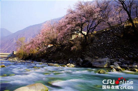 圖片默認(rèn)標(biāo)題_fororder_2、青山綠水桃花紅  雷振林?jǐn)z.JPG