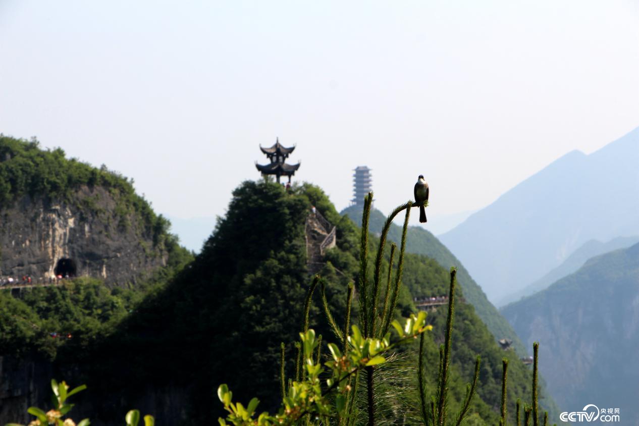 云陽龍缸景區(qū)秀麗的風(fēng)景吸引著不少外地游客
