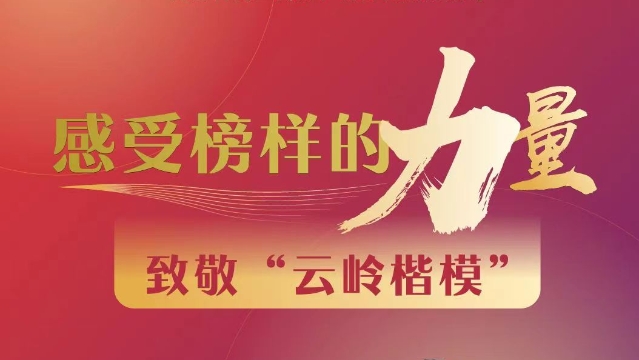 【云嶺楷?！扛惺馨駱拥牧α?></a>
     <p><a href=