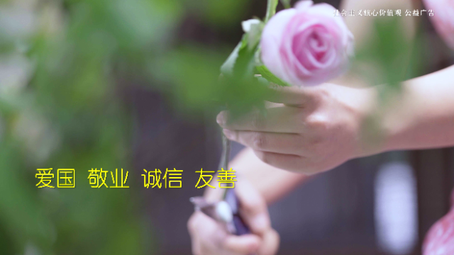 【公益廣告】社會(huì)主義核心價(jià)值觀