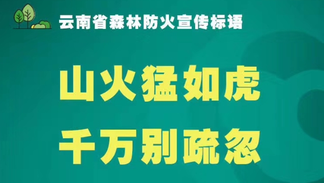 云南森林防火宣傳標語